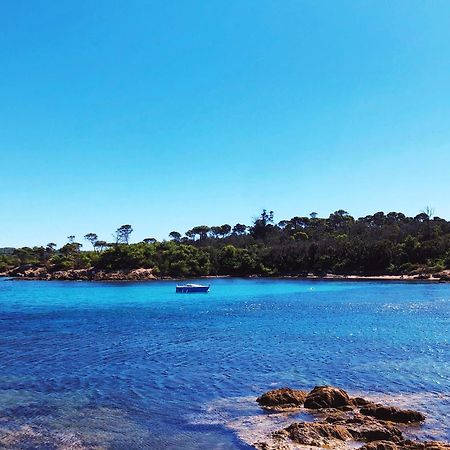T2 Avec Terrasse & Parking A 5 Min Du Centre, 10 Min Des Plages Hyeres Exterior photo